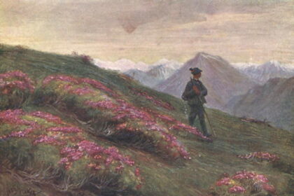 Josef Straka - Almenrausch, Wanderer genießt das Bergpanorama